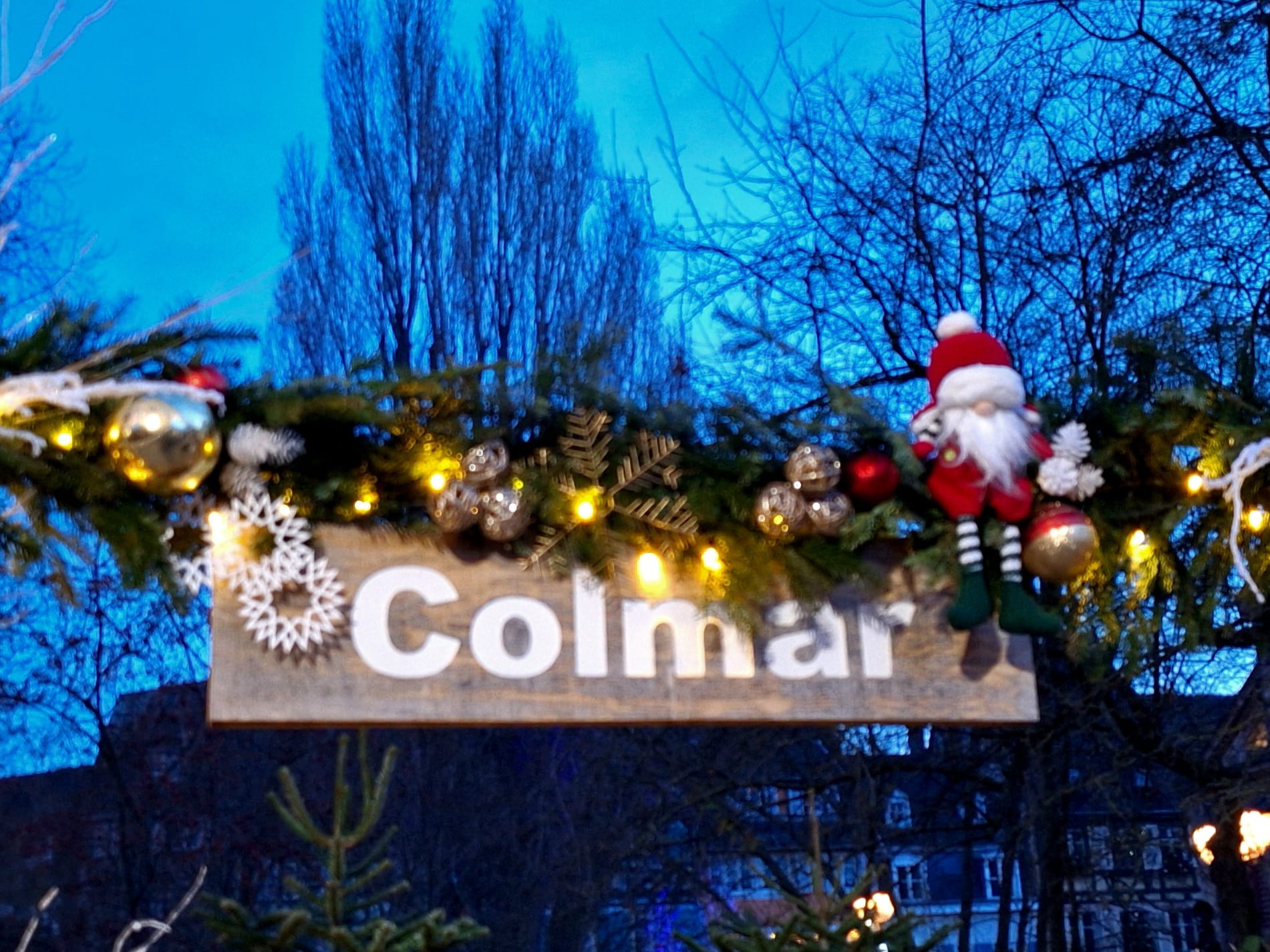 02 2ae4e97b 8645 4986 9b2d cc09516d8d92